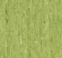 Линолеум Tarkett iq Optima GREEN 0861 фото 1 | FLOORDEALER